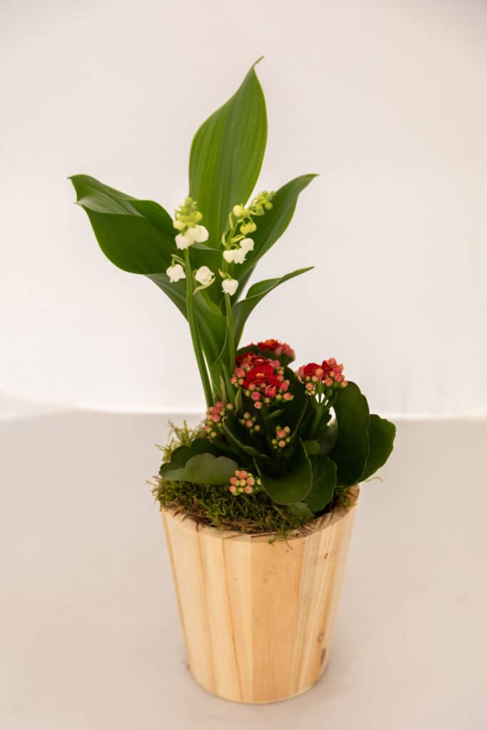 acheter du muguet
