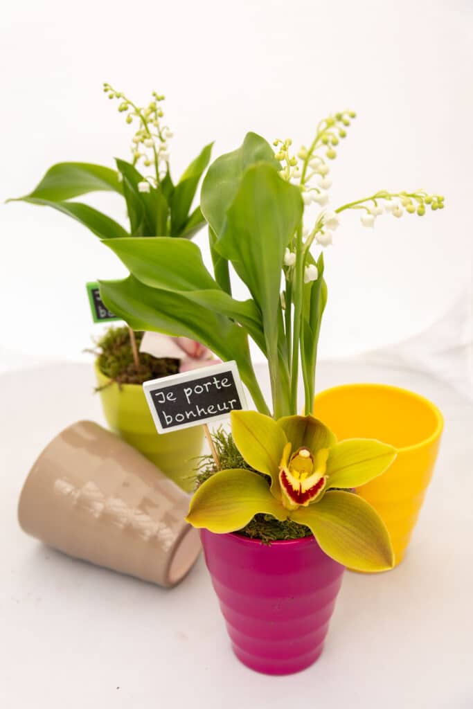 commander muguet nantes